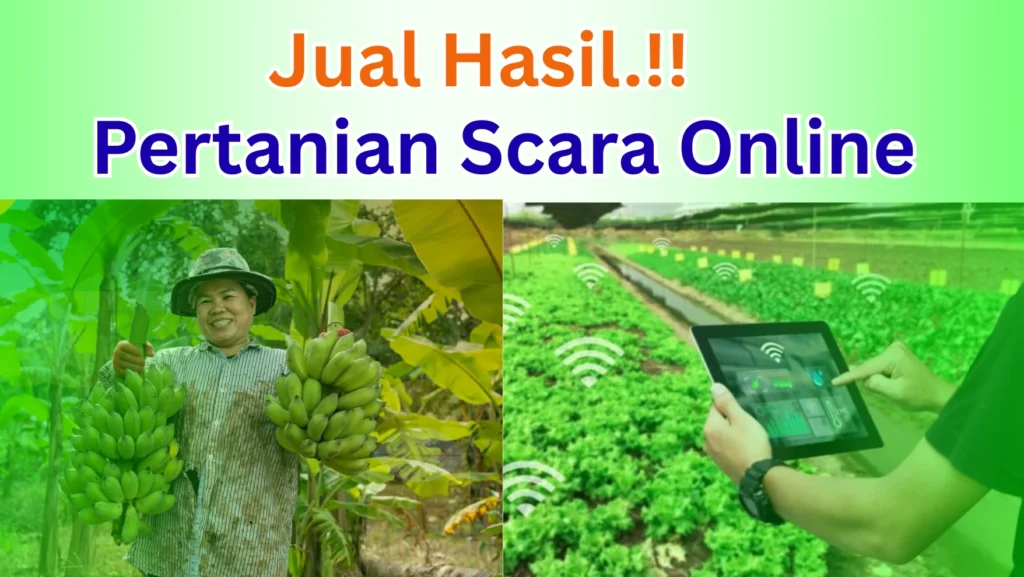 Jual Hasil Pertanian Online - sutomo.ac.id